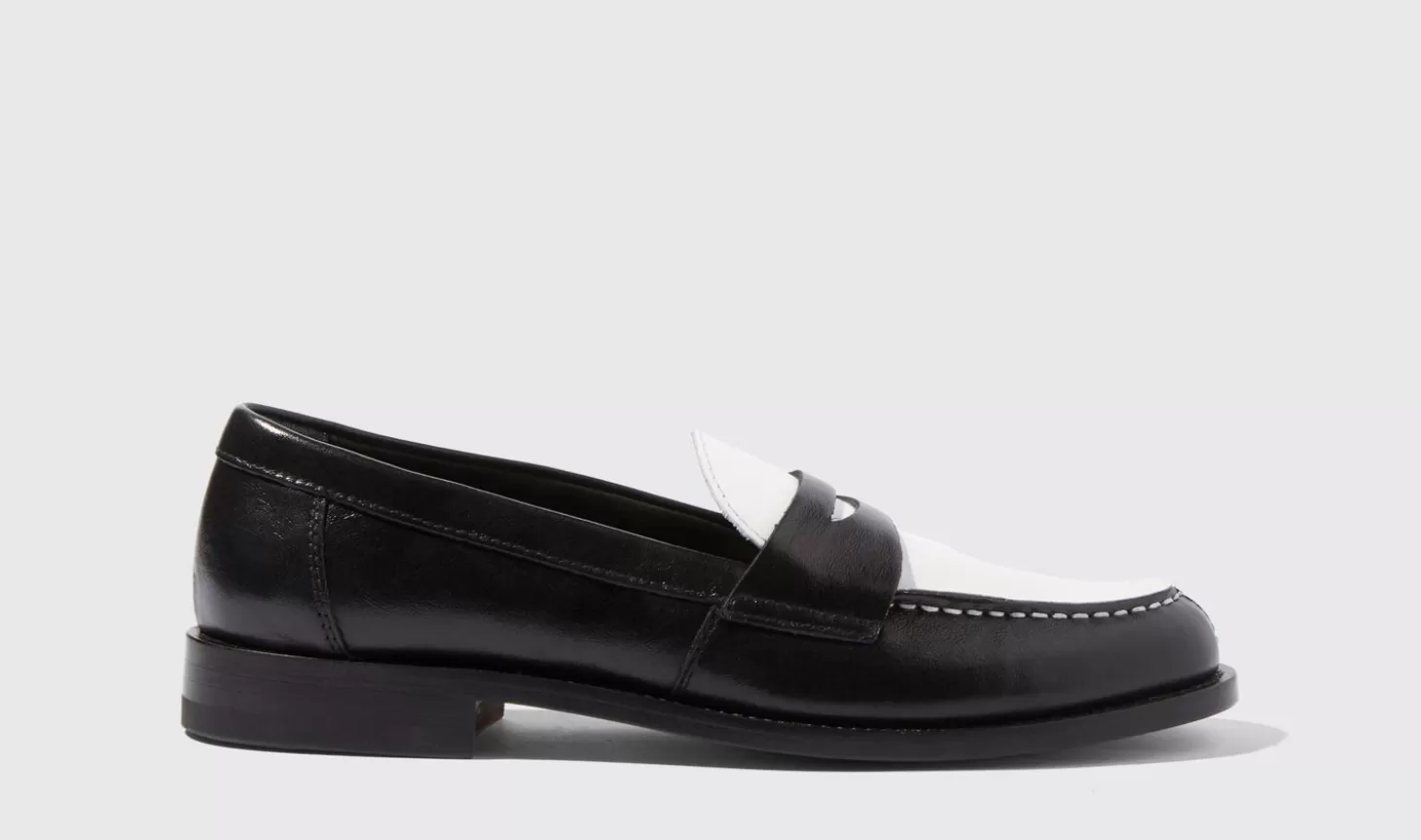 Frauen Scarosso Halbschuhe>Harper Black Edit