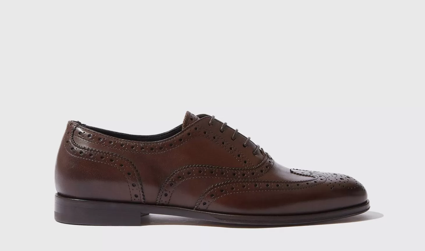 Frauen Scarosso Oxfords>Judy Braun