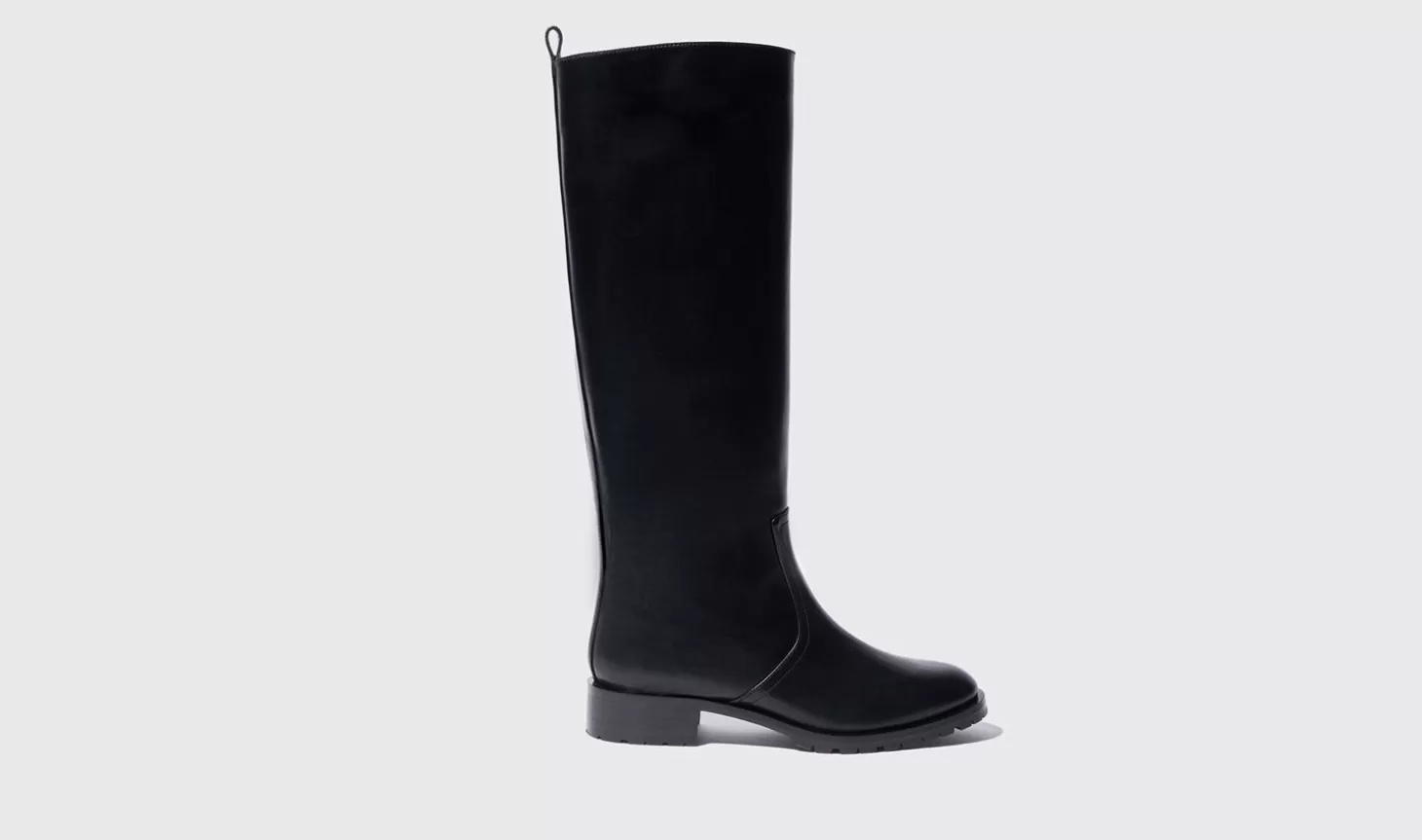 Frauen Scarosso Stiefel>Sofia Black